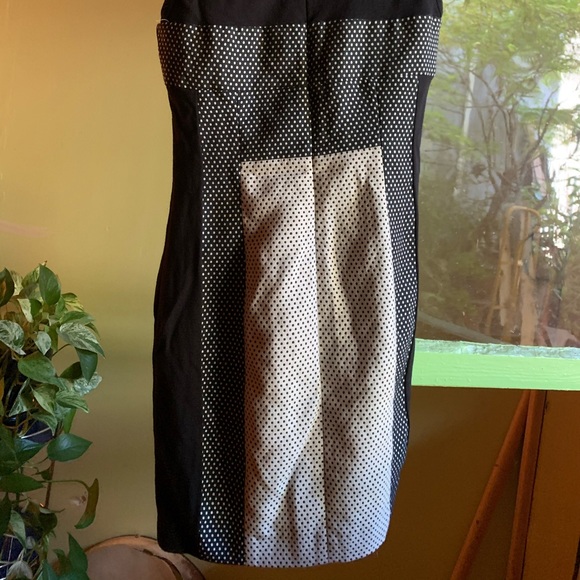 Yoana Baraschi pokadot dress, from Anthropologie - Picture 5 of 6